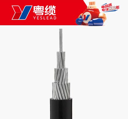 AG尊时凯龙人生就电缆铝芯架空电缆